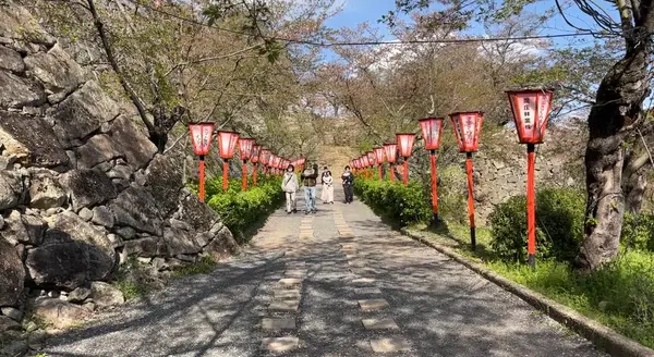 津山城 鶴山公園の写真・動画_image_599905