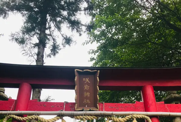 咲前神社の写真・動画_image_601404