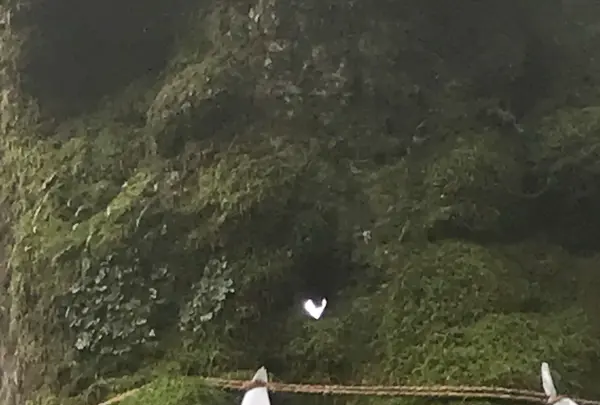 熊野皇大神社の写真・動画_image_601441