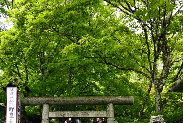 熊野皇大神社の写真・動画_image_601443