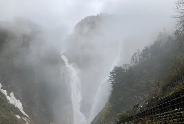称名滝の写真・動画_image_601698