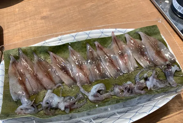 鮮魚魚廣・富山湾食堂マルート店の写真・動画_image_601739