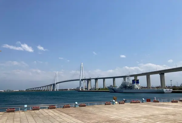 新湊大橋の写真・動画_image_601979