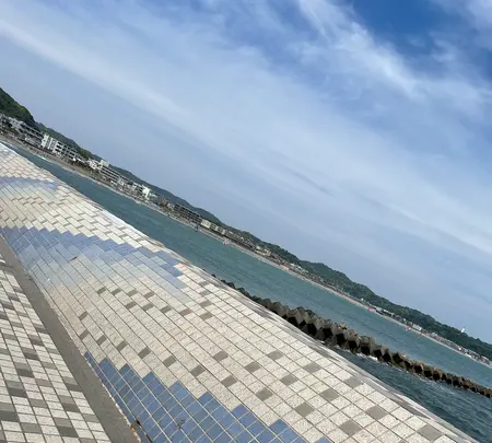 鎌倉海浜公園の写真・動画_image_603255
