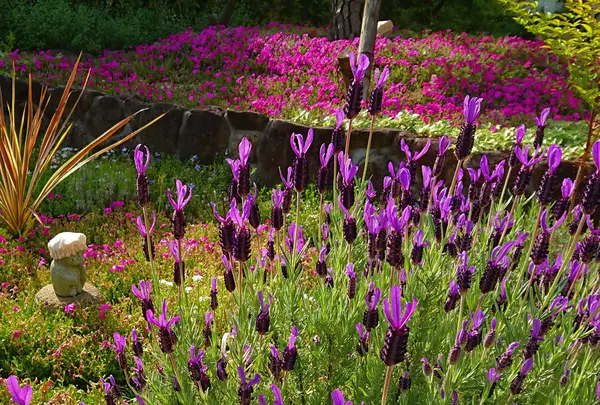芝桜庭園樹木葬｜永代供養墓の写真・動画_image_603585