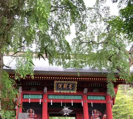 妙義神社の写真・動画_image_613222