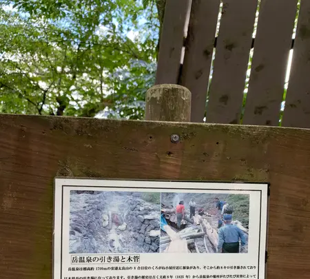 岳温泉 桜坂の写真・動画_image_622148