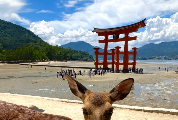 厳島神社の写真・動画_image_626046