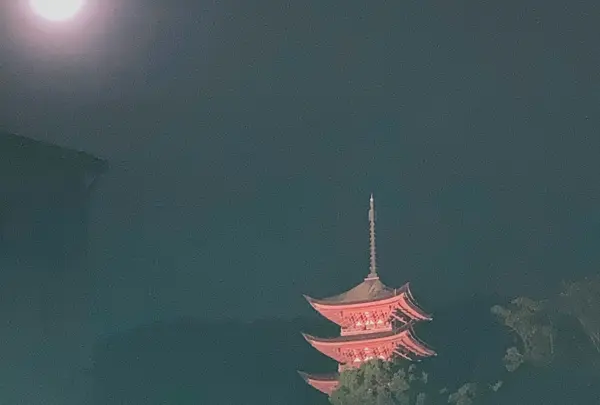 豊国神社（千畳閣）の写真・動画_image_626062
