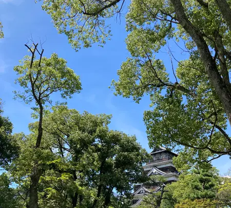 広島城の写真・動画_image_626180
