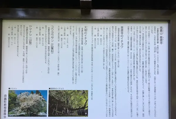菩提寺の写真・動画_image_627488