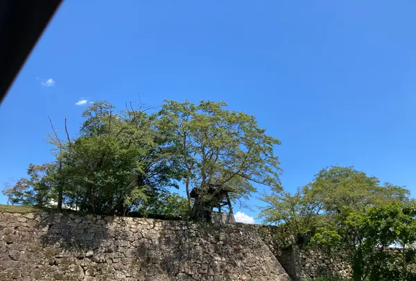 津山城跡の写真・動画_image_627522