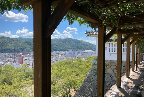 津山城跡の写真・動画_image_627523