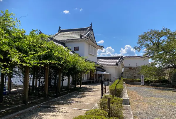 津山城跡の写真・動画_image_627531