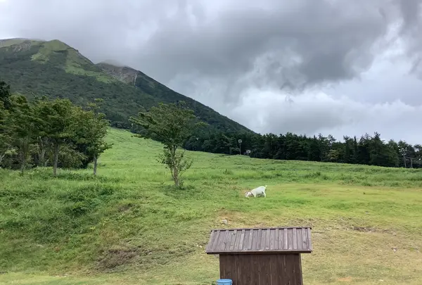 大山桝水高原 天空リフトの写真・動画_image_628021