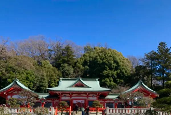 織姫神社の写真・動画_image_631088