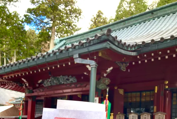箱根神社の写真・動画_image_631665