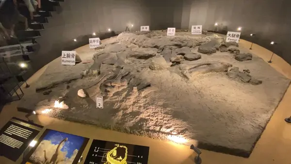 福井県立恐竜博物館の写真・動画_image_634169