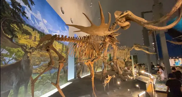 福井県立恐竜博物館の写真・動画_image_634197