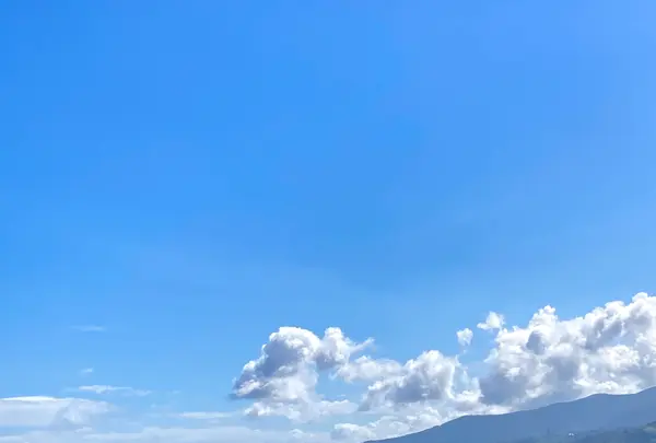 ミナカ小田原 展望足湯庭園の写真・動画_image_638765