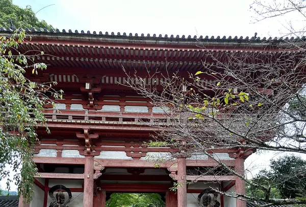 醍醐寺の写真・動画_image_639470