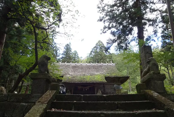 安久津八幡神社の写真・動画_image_646122