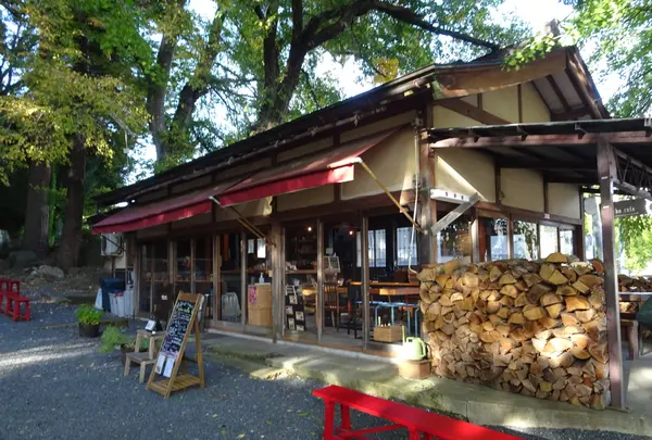 icho cafe （いちょうカフェ）の写真・動画_image_646150