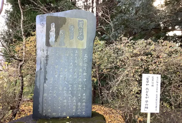 高館（義経堂）の写真・動画_image_656905