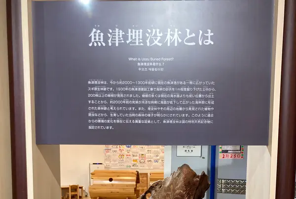 魚津埋没林博物館の写真・動画_image_664823