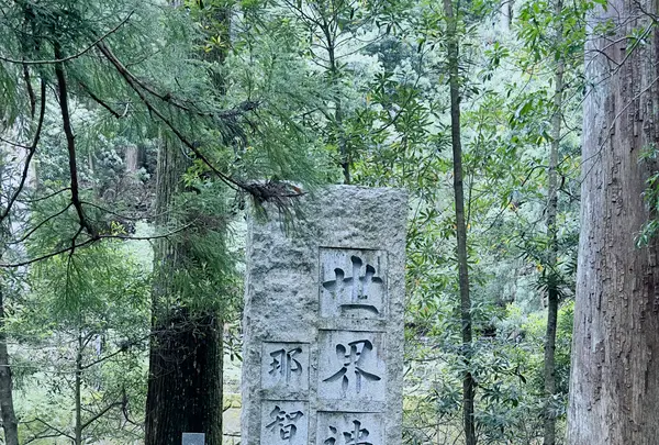 飛瀧神社の写真・動画_image_667597