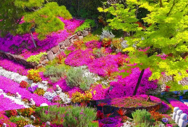 芝桜庭園樹木葬｜永代供養墓の写真・動画_image_668226