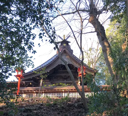 常陸国総社宮の写真・動画_image_668498