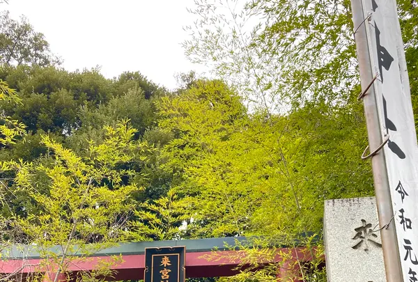 來宮神社の写真・動画_image_671229