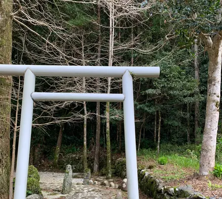 横嶺山薬師堂の写真・動画_image_673604