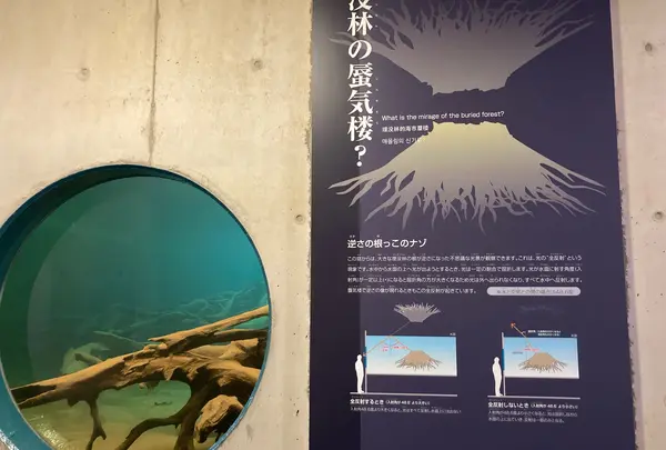 魚津埋没林博物館の写真・動画_image_674021