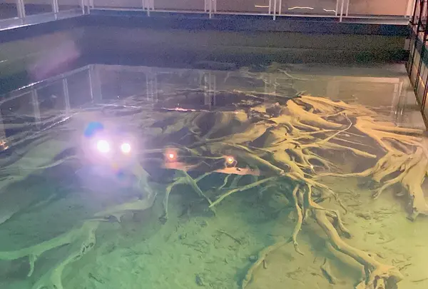 魚津埋没林博物館の写真・動画_image_674022