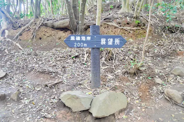 糸島のトトロの森の写真・動画_image_676667