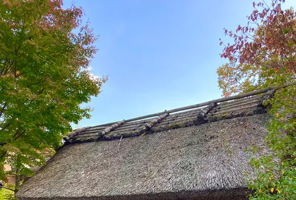 お宿 木の葉の写真・動画_image_680574