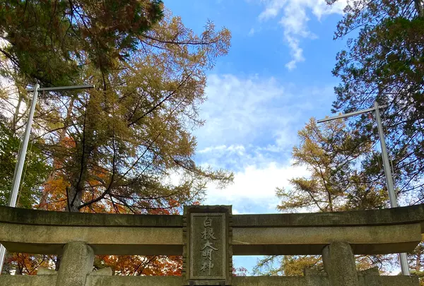 白根神社の写真・動画_image_680599