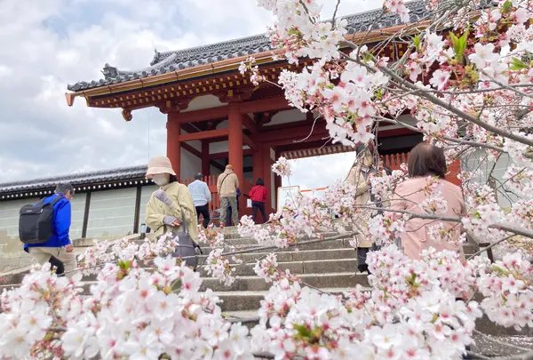 仁和寺の写真・動画_image_681062