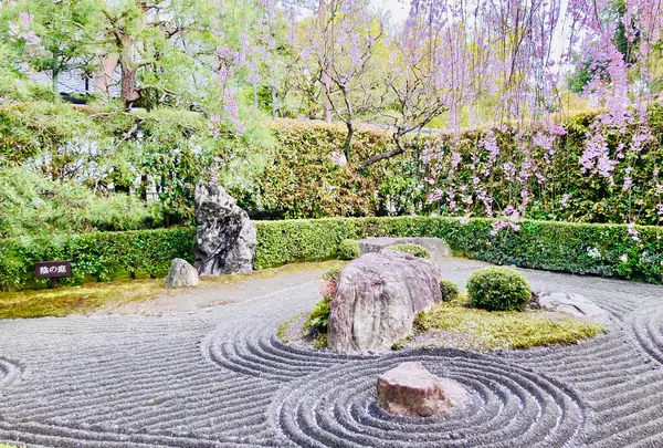 退蔵院の写真・動画_image_681092