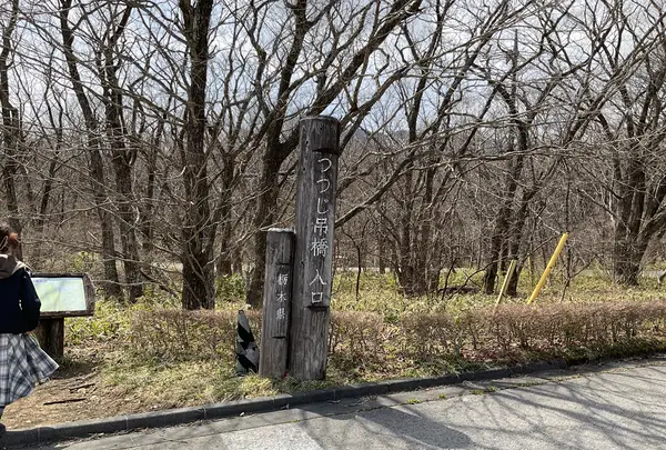 つつじ吊橋の写真・動画_image_681337