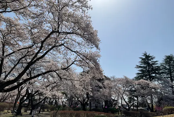 黒磯公園の写真・動画_image_681585