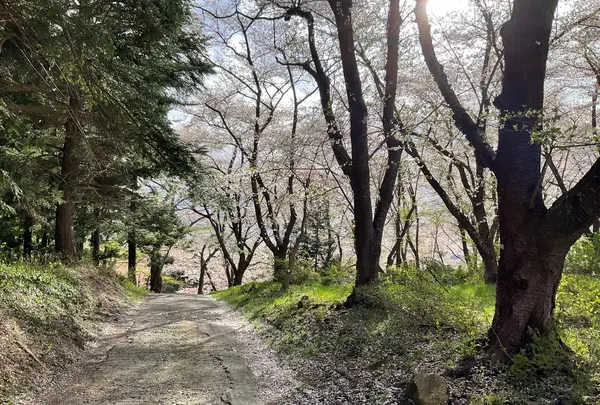 烏帽子山公園の写真・動画_image_682218