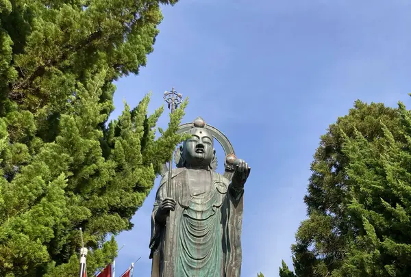 木之本地蔵院の写真・動画_image_683903