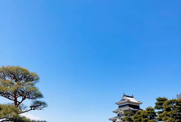 松本城の写真・動画_image_684179