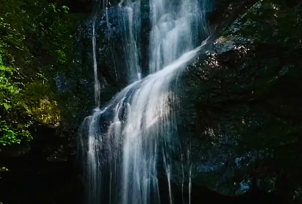 琴滝の写真・動画_image_685992