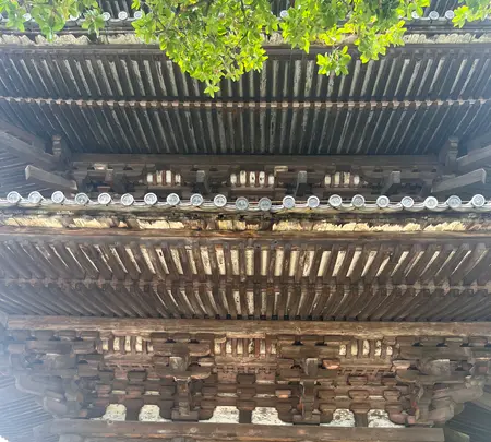 法観寺 八坂の塔の写真・動画_image_690447
