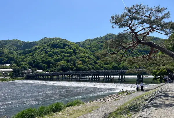 渡月橋の写真・動画_image_690498