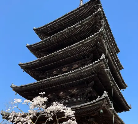 法観寺 八坂の塔の写真・動画_image_690509